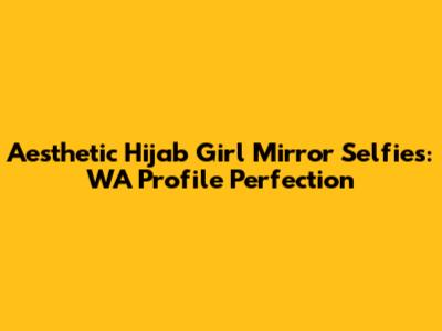 Aesthetic Hijab Girl Mirror Selfies: WA Profile Perfection