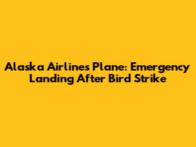 Alaska Airlines Plane: Emergency Landing After Bird Strike