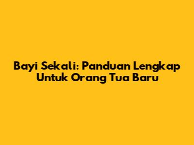 Bayi Sekali: Panduan Lengkap Untuk Orang Tua Baru