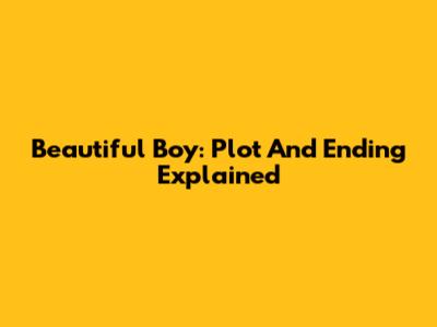 Beautiful Boy: Plot And Ending Explained