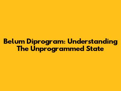 Belum Diprogram: Understanding The Unprogrammed State