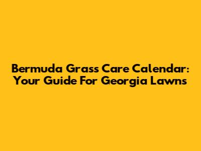 Bermuda Grass Care Calendar: Your Guide For Georgia Lawns