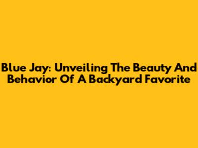 Blue Jay: Unveiling The Beauty And Behavior Of A Backyard Favorite