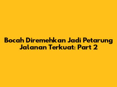 Bocah Diremehkan Jadi Petarung Jalanan Terkuat: Part 2