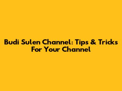 Budi Sulen Channel: Tips & Tricks For Your Channel