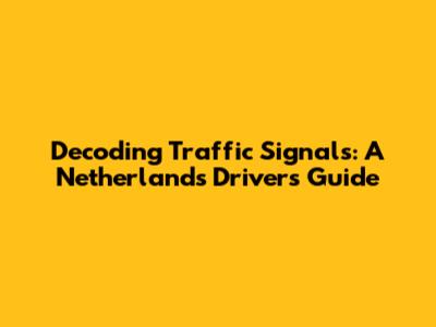 Decoding Traffic Signals: A Netherlands Driver's Guide