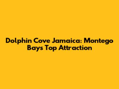 Dolphin Cove Jamaica: Montego Bay's Top Attraction
