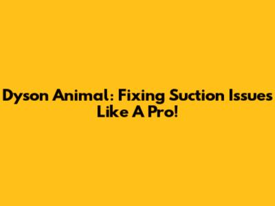 Dyson Animal: Fixing Suction Issues Like A Pro!
