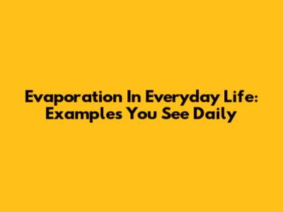 Evaporation In Everyday Life: Examples You See Daily