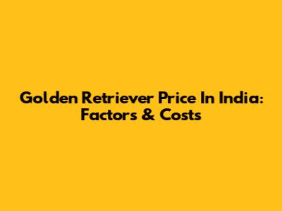Golden Retriever Price In India: Factors & Costs