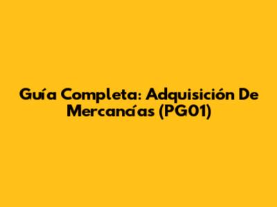 Guía Completa: Adquisición De Mercancías (PG01)
