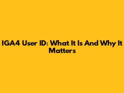 IGA4 User ID: What It Is And Why It Matters