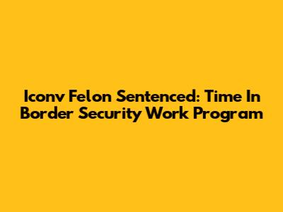Iconv Felon Sentenced: Time In Border Security Work Program