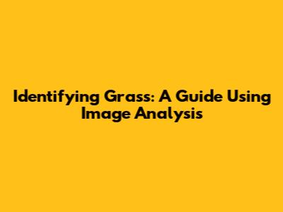 Identifying Grass: A Guide Using Image Analysis