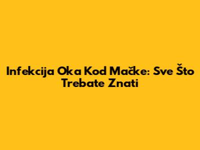 Infekcija Oka Kod Mačke: Sve Što Trebate Znati
