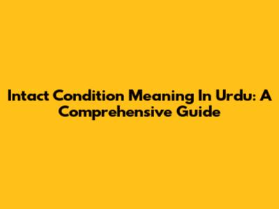 Intact Condition Meaning In Urdu: A Comprehensive Guide