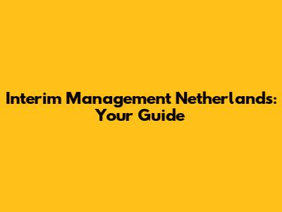 Interim Management Netherlands: Your Guide