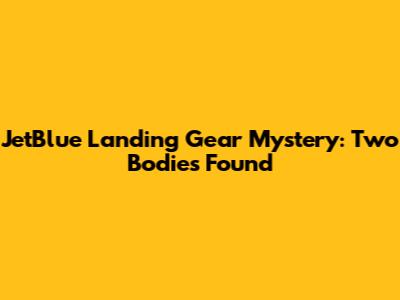 JetBlue Landing Gear Mystery: Two Bodies Found