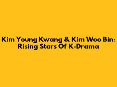 Kim Young Kwang & Kim Woo Bin: Rising Stars Of K-Drama