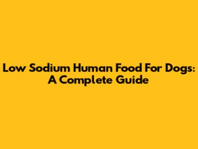 Low Sodium Human Food For Dogs: A Complete Guide