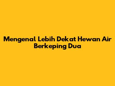 Mengenal Lebih Dekat Hewan Air Berkeping Dua