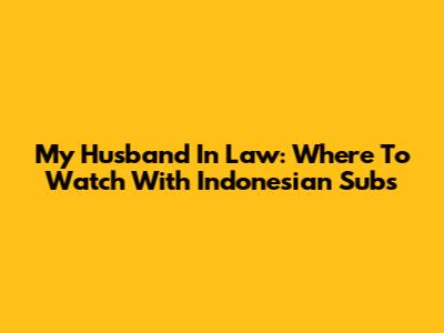 My Husband In Law: Where To Watch With Indonesian Subs