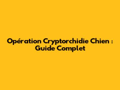 Opération Cryptorchidie Chien : Guide Complet