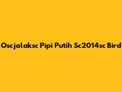Oscjalaksc Pipi Putih Sc2014sc Bird