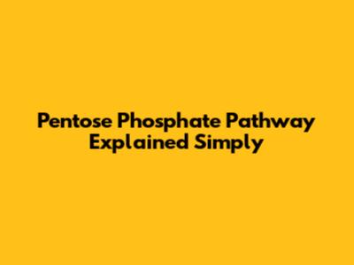 Pentose Phosphate Pathway Explained Simply