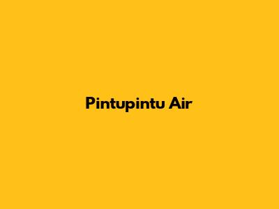 Pintupintu Air