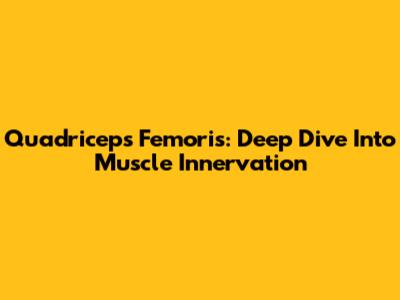 Quadriceps Femoris: Deep Dive Into Muscle Innervation