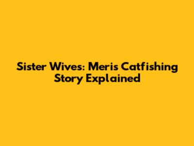 Sister Wives: Meri's Catfishing Story Explained