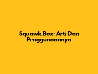 Squawk Box: Arti Dan Penggunaannya