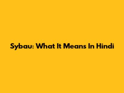 Sybau: What It Means In Hindi