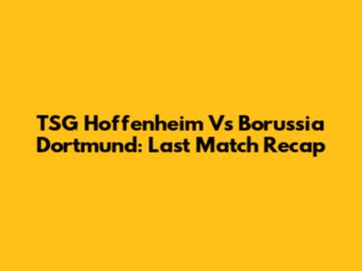 TSG Hoffenheim Vs Borussia Dortmund: Last Match Recap
