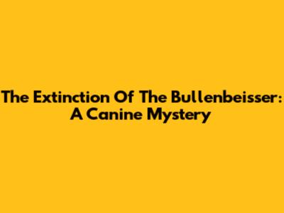 The Extinction Of The Bullenbeisser: A Canine Mystery
