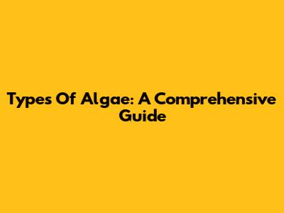Types Of Algae: A Comprehensive Guide