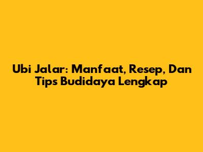 Ubi Jalar: Manfaat, Resep, Dan Tips Budidaya Lengkap