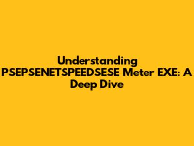 Understanding PSEPSENETSPEEDSESE Meter EXE: A Deep Dive
