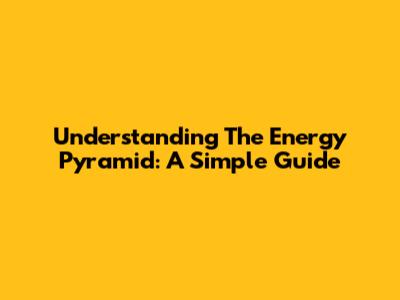 Understanding The Energy Pyramid: A Simple Guide