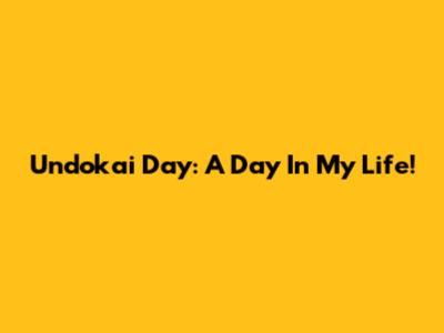 Undokai Day: A Day In My Life!