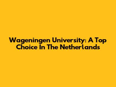 Wageningen University: A Top Choice In The Netherlands