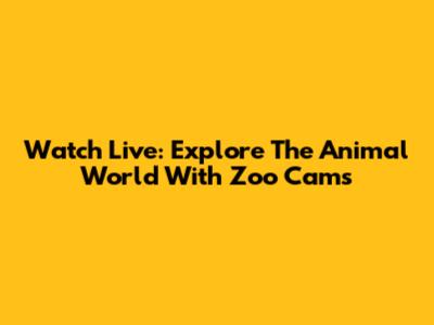 Watch Live: Explore The Animal World With Zoo Cams