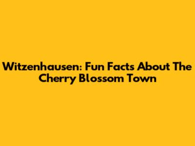 Witzenhausen: Fun Facts About The Cherry Blossom Town