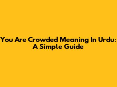 You Are Crowded Meaning In Urdu: A Simple Guide